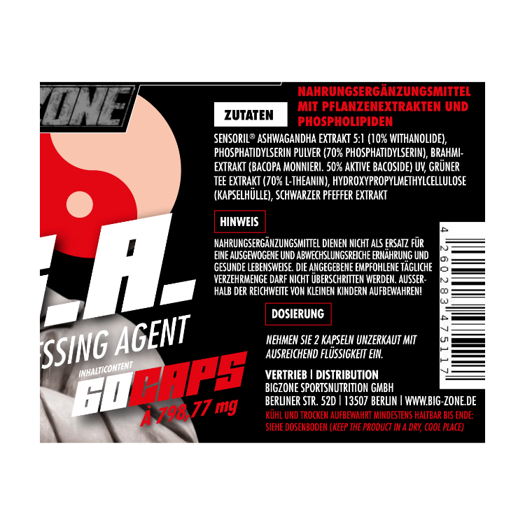 Big Zone - CSA / C.S.A.