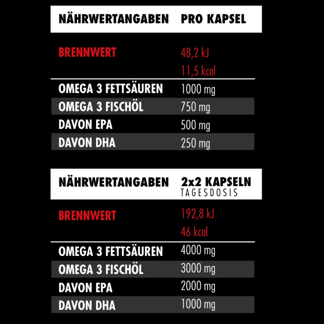 Big Zone Omega 3 Fury Triglyceride 300 Kapseln