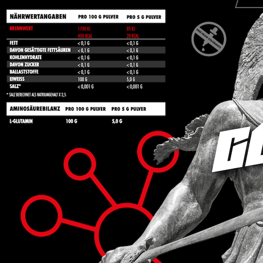 Big Zone - L - Glutamin