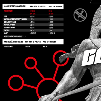 Big Zone - L - Glutamin